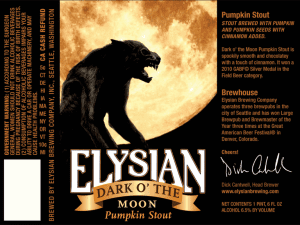Elysian Dark O' The Moon Pumpkin Stout